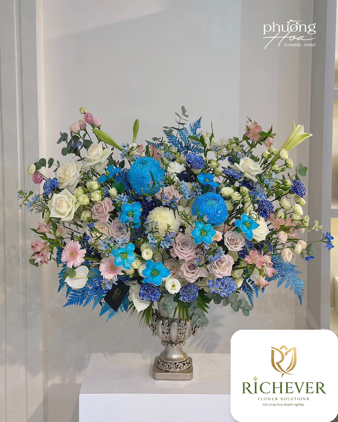 Office Care album 10